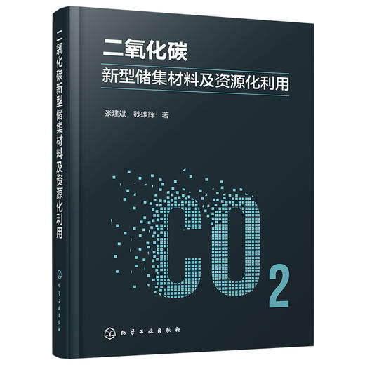 二氧化碳新型储集材料及资源化利用 商品图2