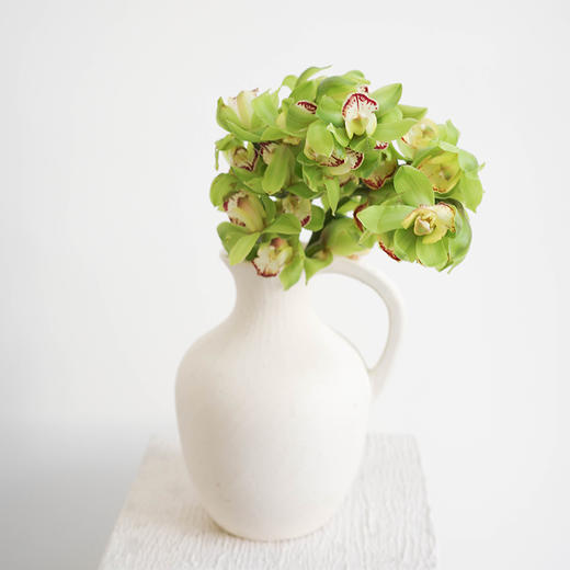 大花惠兰 Cymbidium（全国配送） 商品图2