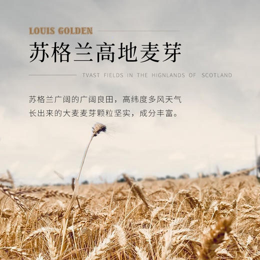 苏格兰原瓶进口路易高登洛诗威士忌双支礼盒礼袋装洋酒 商品图3