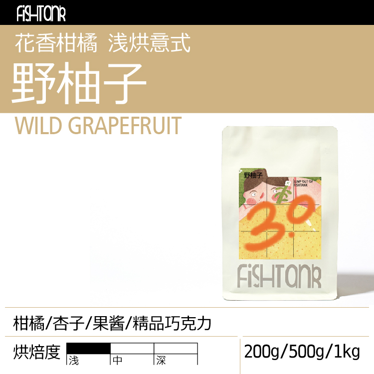 野柚子3.0  浅烘意式拼配咖啡豆