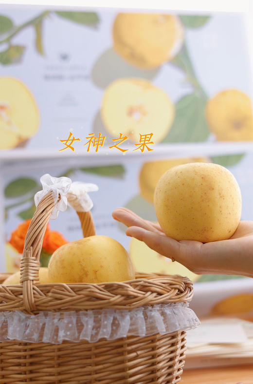 山东维纳斯金苹果 商品图1