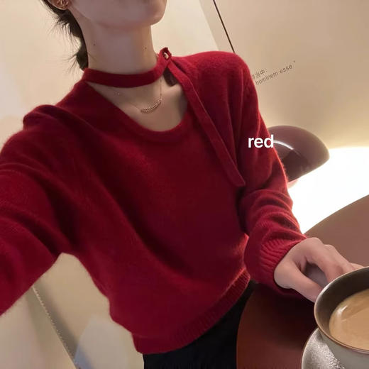 高配蜜熊绒新年毛衣集合 商品图6