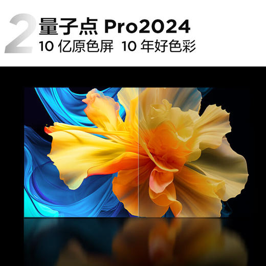 TCL电视 量子点Pro2024 超薄一体化设计 超能芯片T2+TXR画质增强引擎 剧院量子点电视 65英寸 P11H 商品图3