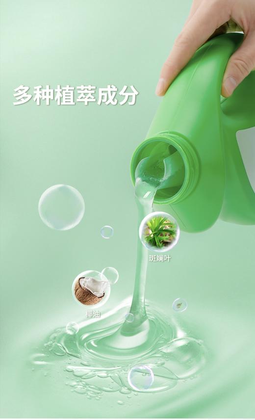 国凡斑斓净护除菌洗衣液/2L瓶*6 清洁去污柔顺洗护除菌除螨护衣亮色 商品图3