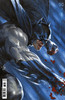 蝙蝠侠 Batman Vol 3 122-130 商品缩略图1