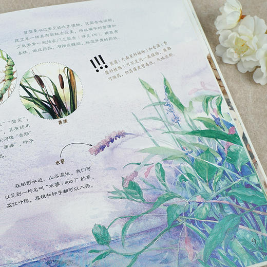 噢！中草药 商品图4