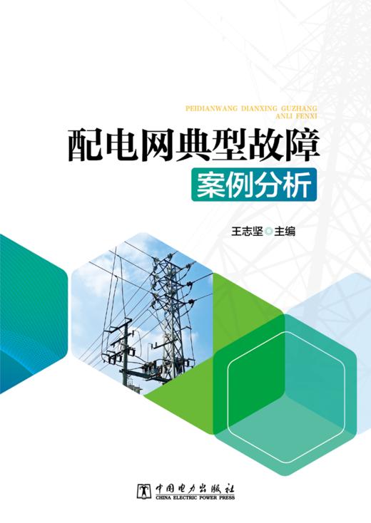 配电网典型故障案例分析 商品图1