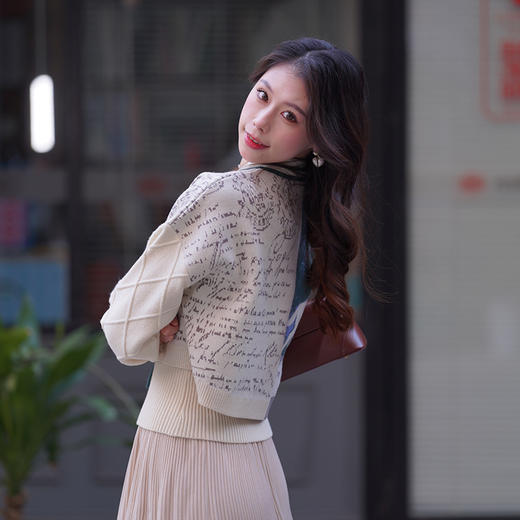 两三事梵高文艺脱缰野望动物图抽绳绑带两件套针织衫女 商品图3