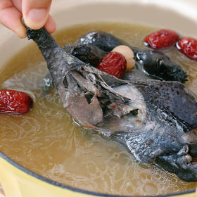 江西泰和原种乌鸡 无重金属兽残 《本草纲目》记载 清水煮都好吃 去内脏   700g±50