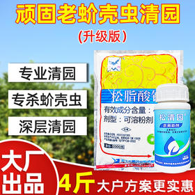 介壳虫清园专杀大鹏松脂酸钠松清园果树柑橘杨梅介壳虫矢尖蚧粉蚧