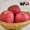 【甘肃】静宁苹果  酥脆爽口 清甜的香蜜味 商品缩略图1