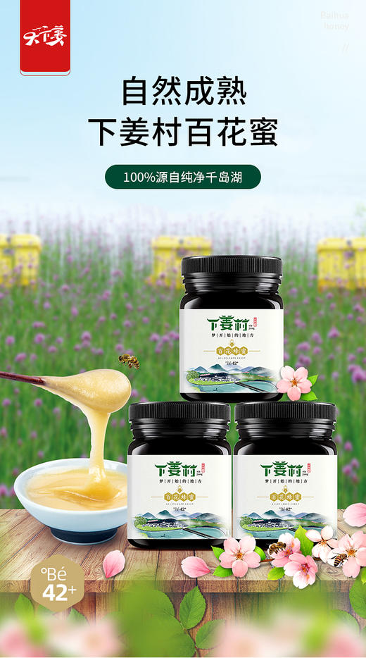 乡村振兴 下姜村 百花蜂蜜 商品图7