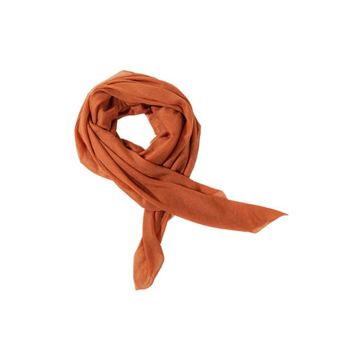 绽放880朵/高支高密100%羊绒保暖优雅高级百搭方巾围巾 商品图3