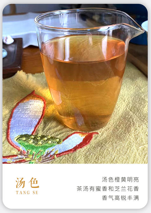 凤凰单丛 | 2024年春茶 宋茶荟 初恋蜜兰香100g/罐  商品图4