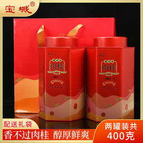 宝城碧石岩肉桂茶叶2罐装共400克小泡礼盒装乌龙茶岩茶D426