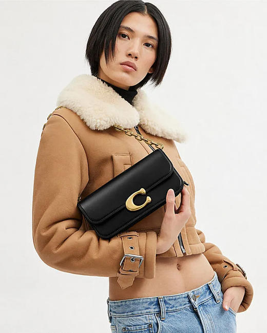 【精品】COACH IDOL 23号手袋 商品图4