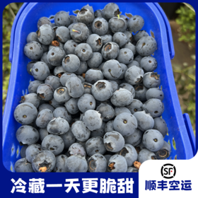 #顺丰空运# 国产云南高原湖畔 精品纯甜蓝莓 绿色原生态颗颗饱满 粒粒爆甜 新鲜水果