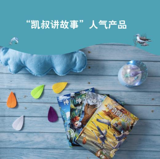 凯叔·神奇图书馆：天空历险记（全4册） 商品图2