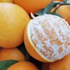赣南脐橙 商品缩略图2