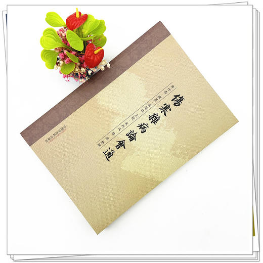 伤寒杂病论会通 黄竹斋 撰著 中国中医药出版社 伤寒论 经典古医籍 书籍 商品图1