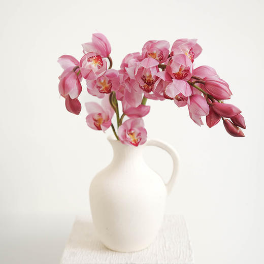 大花惠兰 Cymbidium（全国配送） 商品图5