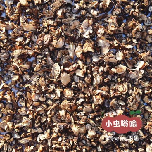 野生蒲公英根 50g | 合作农友生产，产自黑龙江大兴安岭，生产者：金鹏 &【公平贸易农人定价】 商品图9
