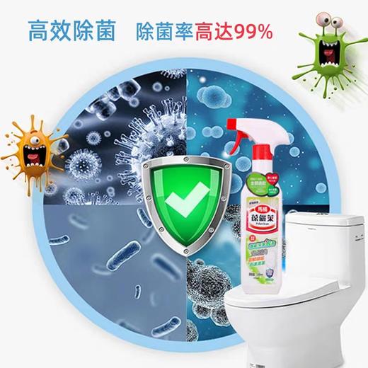 葆儷莱溶垢深洁泡泡除臭去异味溶解顽垢迅速清洁去污去黄厕所清洗(买一送一促销装  到手2瓶) 商品图2