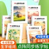 四五六年级课本同步练字帖小学生人教版语文上下册点阵硬笔描红本 商品缩略图1