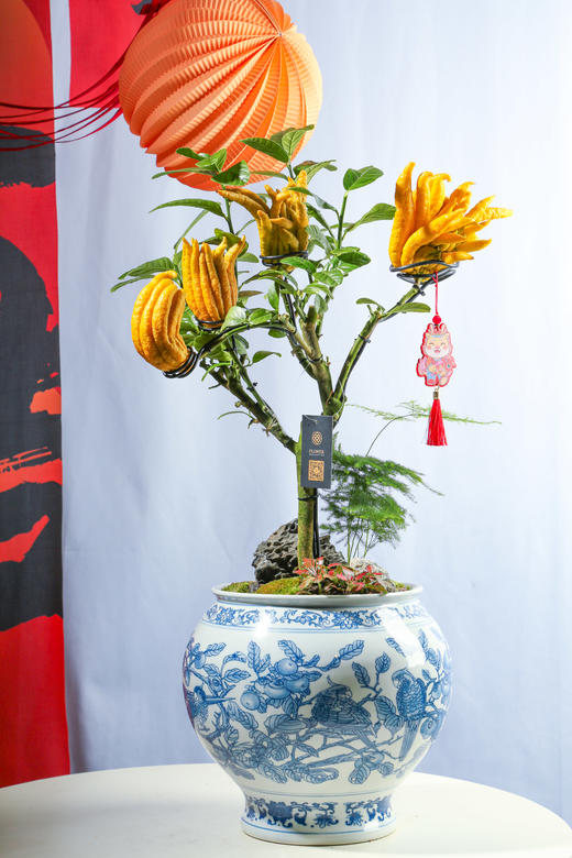 24LZH03006 商品图0