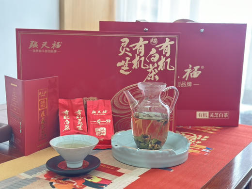 中秋节｜【张天福有机灵芝白茶】茶界泰斗张天福亲创品牌、一带一路国礼品牌，无农药无化肥无添加可溯源真有机健康好茶礼，净含量5g*30泡*1盒（红色橙色两款颜色随机发） 商品图2