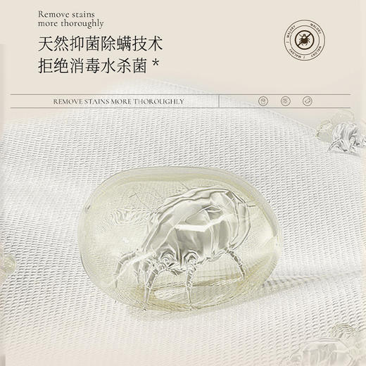 澳洲进口Malory 5D洗衣凝珠五合一（单桶80粒） 商品图9