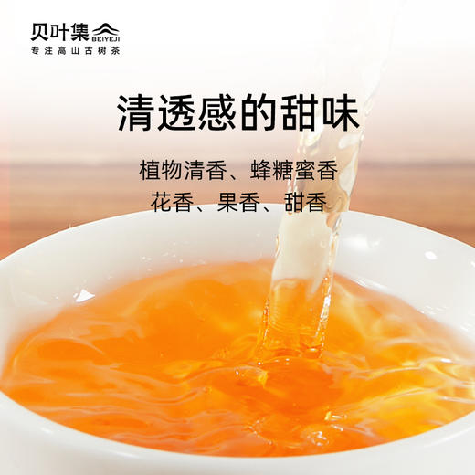 【库存清仓】贝叶集春魁云南凤庆滇红正宗古树红茶浓香型茶叶礼盒装100g 商品图2
