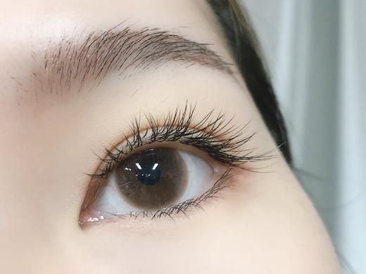 Toffee日抛--清纯引力 商品图6