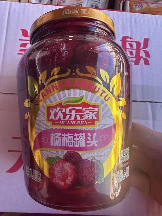 欢乐家 杨梅罐头 900g/瓶 商品图0