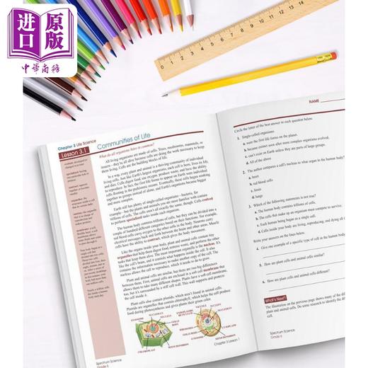 预售 【中商原版】Carson Dellosa Spectrum Science Grade 6 光谱练习册 科学系列 6年级 11-12岁 小学六年级 美国CarsonDellosa 商品图4