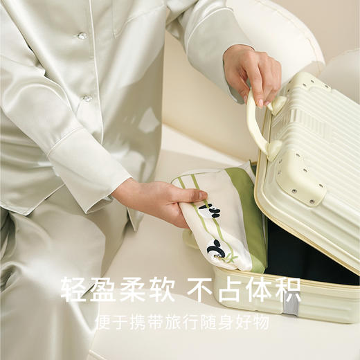 金三塔重磅真丝定位印花枕套100%桑蚕丝简约趣味撞色便携旅行好物 新品  CSZT026 商品图3