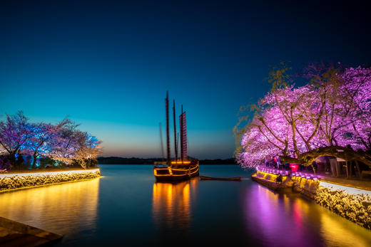 3.24确定出发【樱绽江南】鼋头渚日夜樱•樱花大道•水乡庭院6天摄影团<特惠采风团> 商品图7
