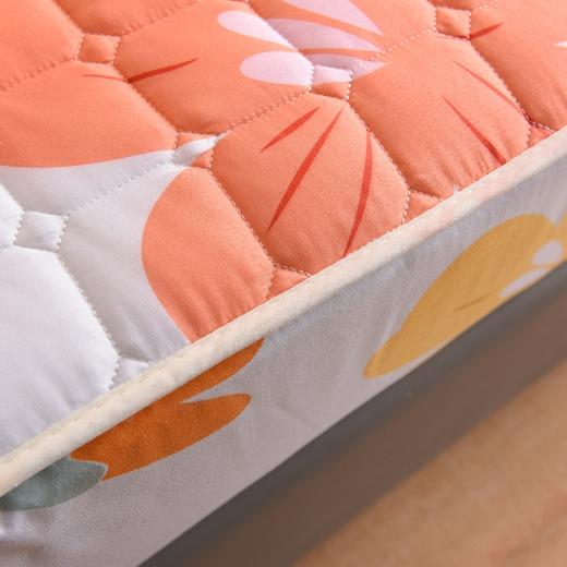 QY-（总）新款磨毛夹棉床笠床罩床单床裙纯色印花 商品图5
