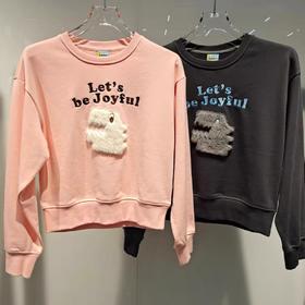 jasonwood 24年春款  套头卫衣  142006022