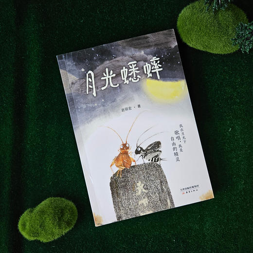 《月光蟋蟀》  文学名家、“课本作家”赵丽宏童话新作，童话《树孩》姊妹篇 商品图5