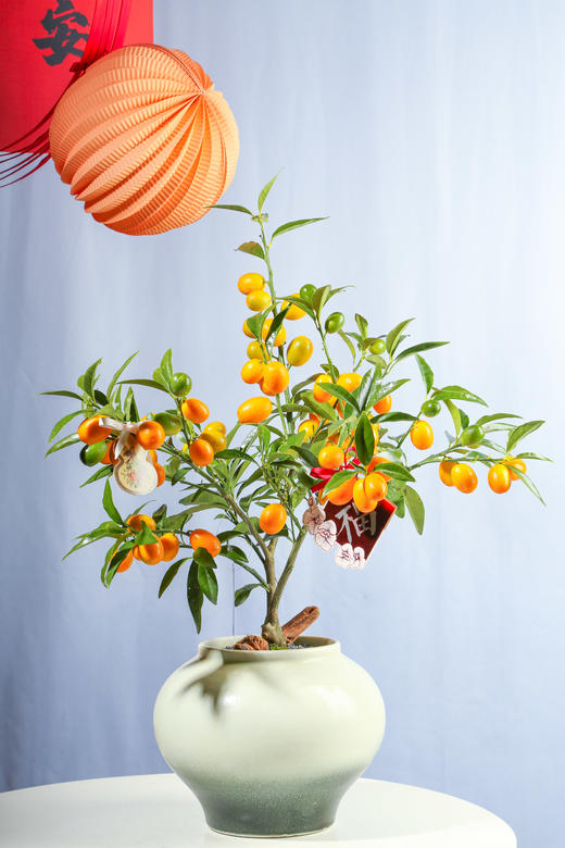 24LZH02010 商品图0