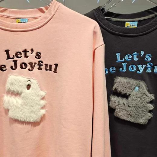 jasonwood 24年春款  套头卫衣  142006022 商品图1