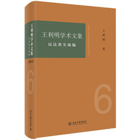 王利明学术文集·民法典实施编 王利明 著 北京大学出版社