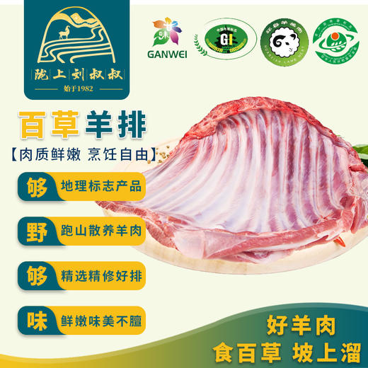 甘肃环县新鲜生羊肉深山散养包邮 商品图4