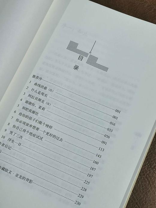 绝版！！《浮生一日：心理治疗故事集》《叔本华的治疗》，16开平装，美  欧文.亚龙著，希望出版社2016年版，两册定价117，售价65元。 商品图3