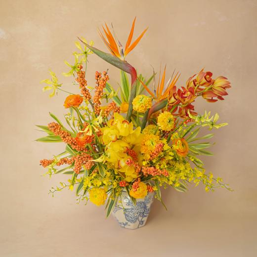 熠熠暖光 Radiance 商品图0