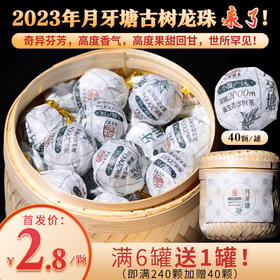 【超强回馈/无数好评/内部限时返场】2023年月牙塘古树龙珠来了！2019年云茶盟主独家开始供应！年年卖断！微小产区特殊茶！