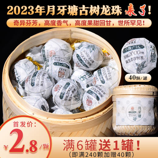 【超强回馈/无数好评/内部限时返场】2023年月牙塘古树龙珠来了！2019年云茶盟主独家开始供应！年年卖断！微小产区特殊茶！ 商品图0