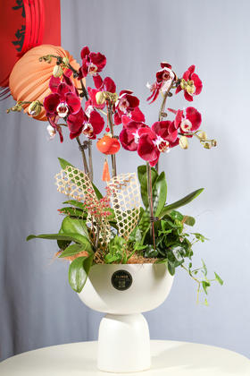 24H02005