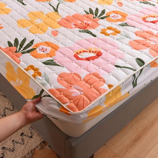 QY-（总）新款磨毛夹棉床笠床罩床单床裙纯色印花 商品图4